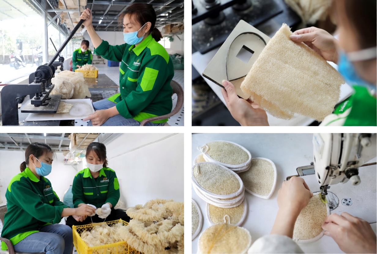 Loofah OEM Manufacturer Vietnam | VietGAP Certified & Bulk Supply