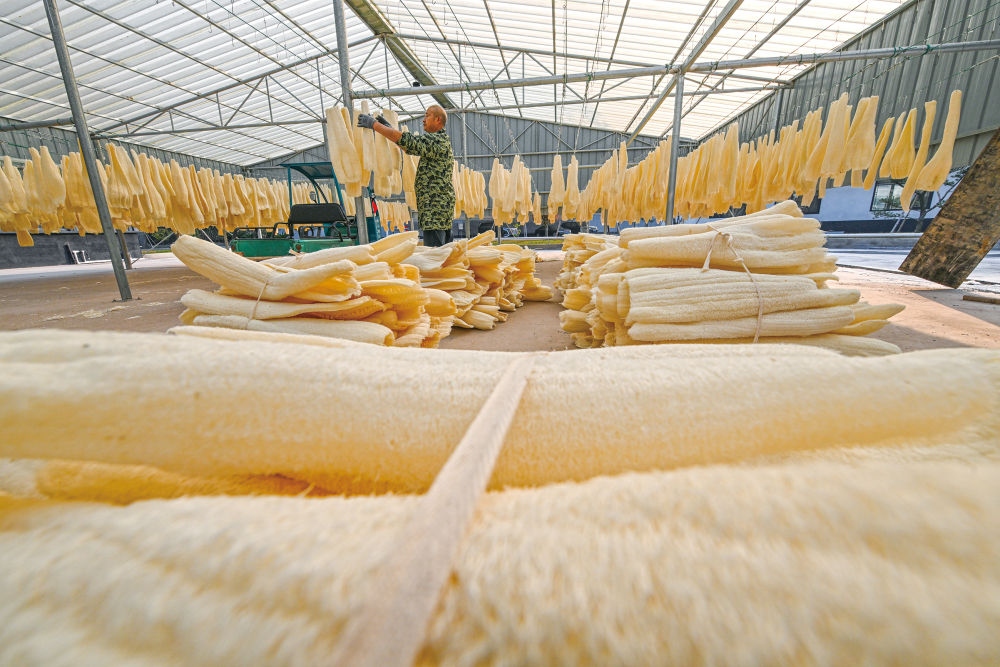 Organic loofah wholesale guide chemical-free processing facility