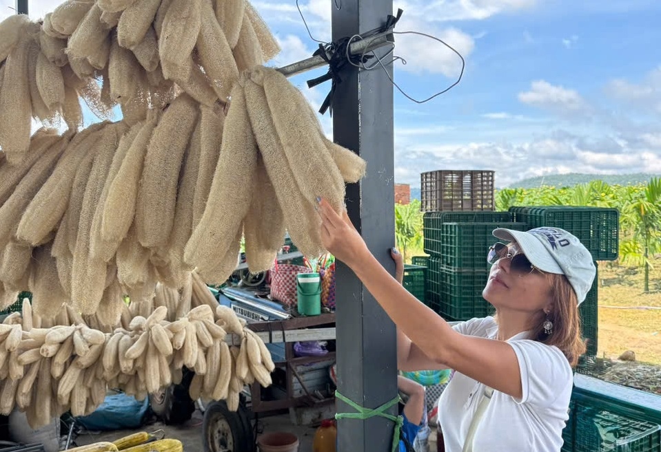 Why VietGAP Matters for Premium Product Quality Loofah OEM Manufacturer Vietnam | VietGAP Certified & Bulk Supply