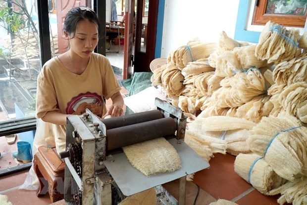 Advanced manufacturing facility of a private label OEM loofah manufacturer Vietnam.