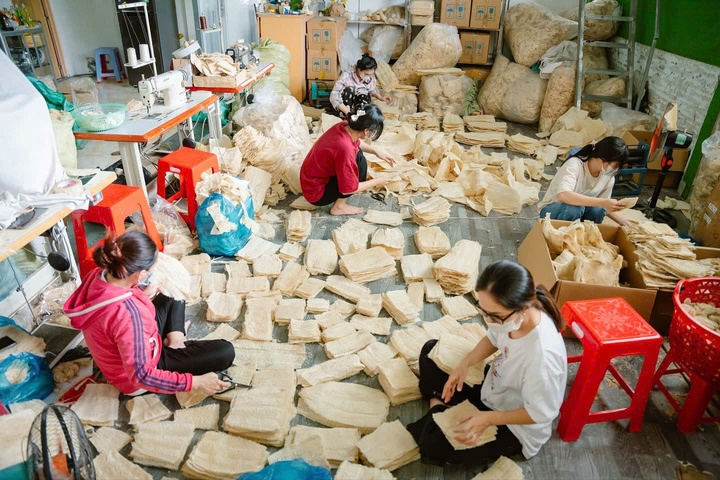 High-volume shipping and logistics optimization for bulk loofah wholesale orders at HiBrews.