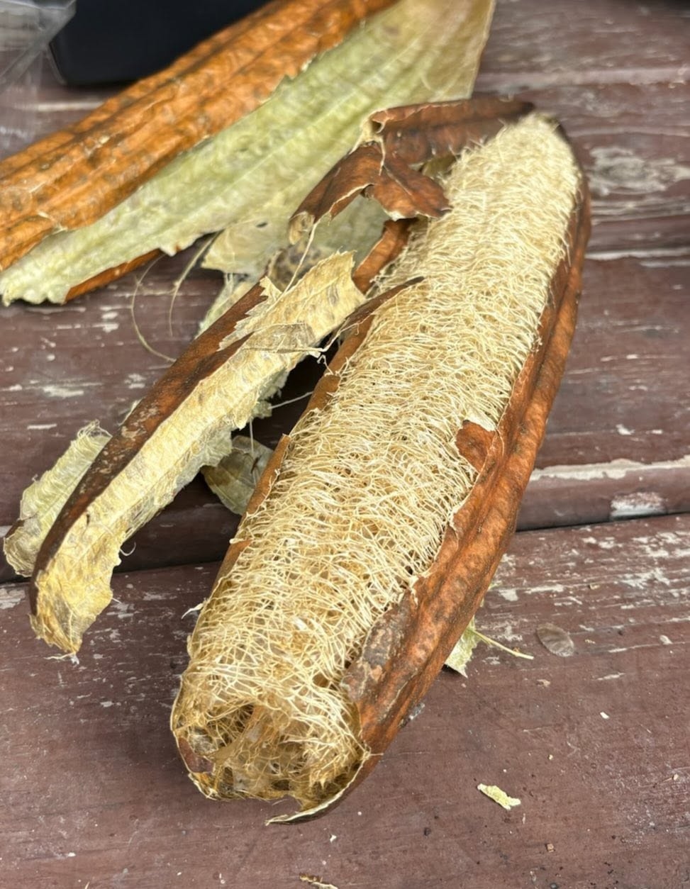 natural loofah fiber